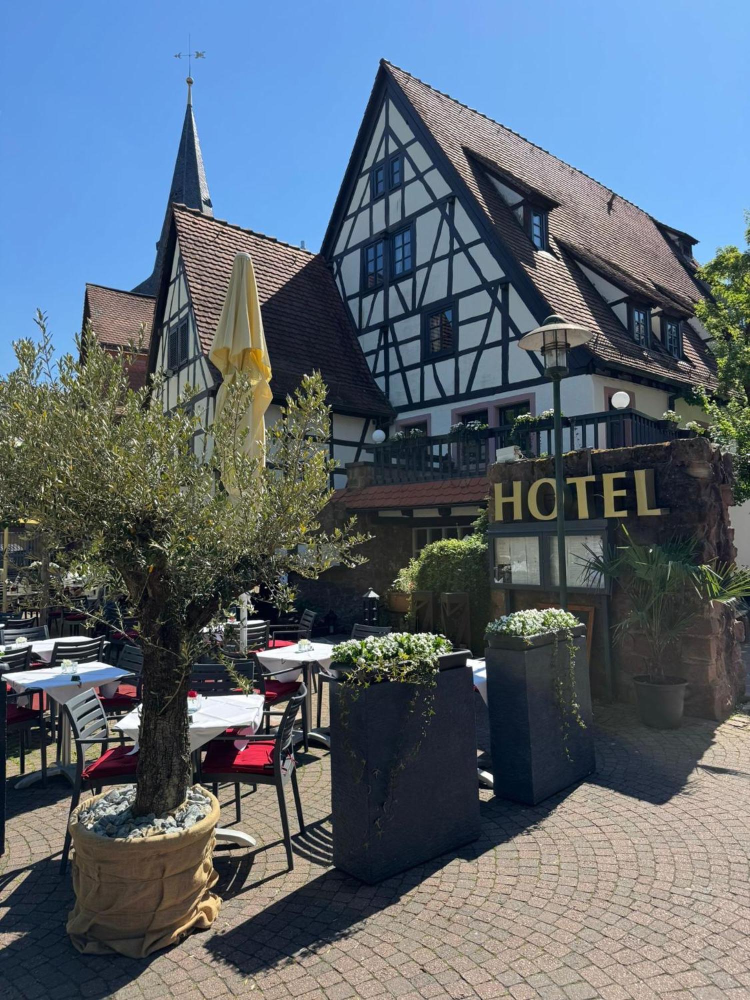 Hotel Restaurant Altes Badhaus Эбербах Экстерьер фото