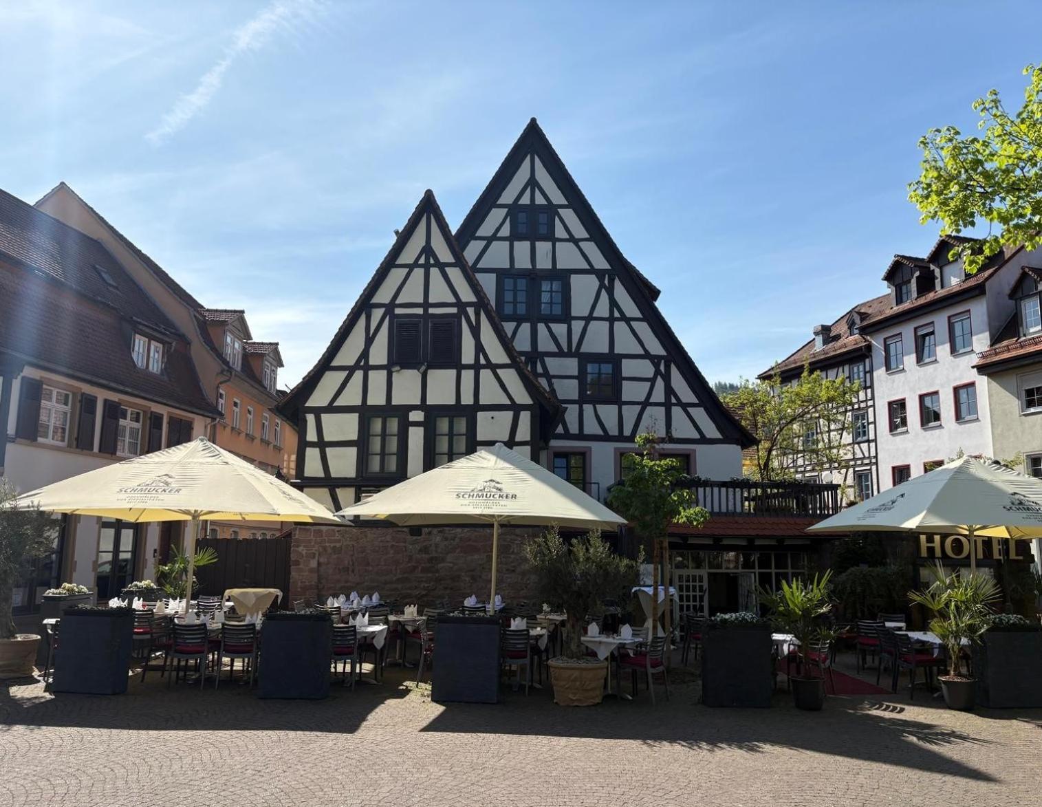 Hotel Restaurant Altes Badhaus Эбербах Экстерьер фото