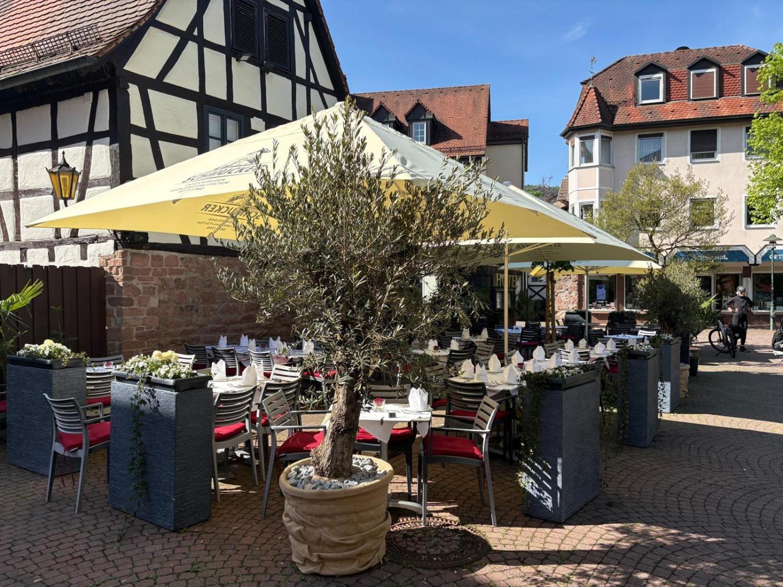 Hotel Restaurant Altes Badhaus Эбербах Экстерьер фото