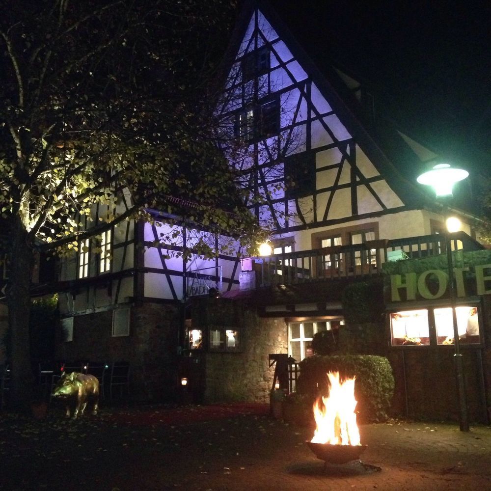 Hotel Restaurant Altes Badhaus Эбербах Экстерьер фото